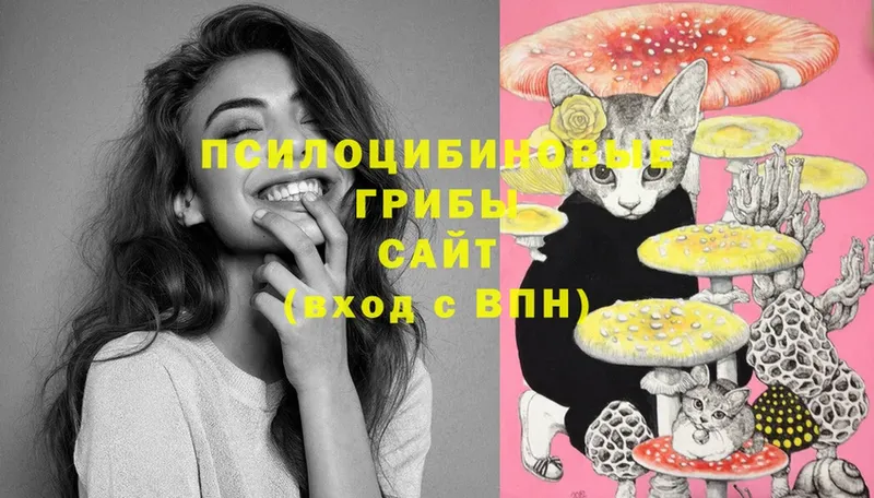 что такое   kraken вход  Галлюциногенные грибы Psilocybe  Нерехта 